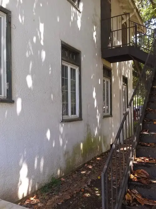 White stucco wall with green algae along its base beside a black exterior stair
